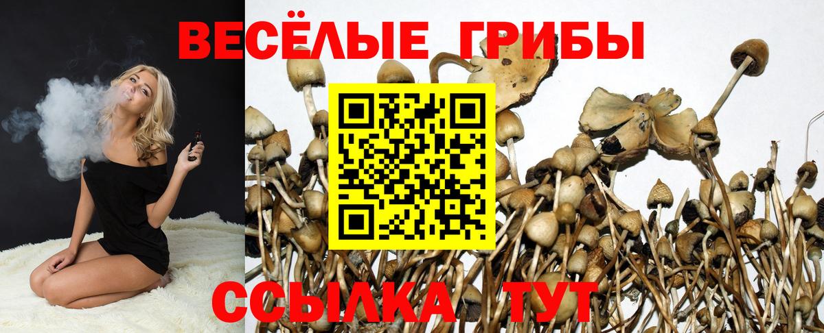 Галлюциногенные грибы мухоморы  Вход с VPN  Егорьевск 
